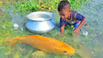 The Boy and the Secret of the Golden Lake